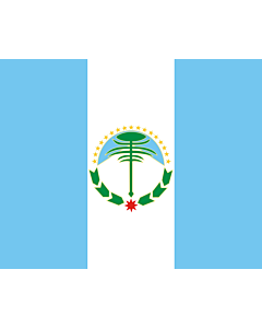 Flag: Neuquén Province