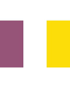 Flag: Belgian commune of Ath (Aat)