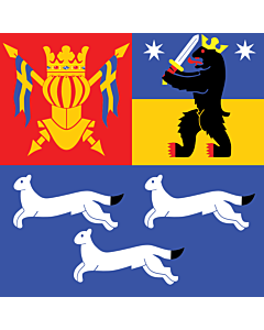 Flag: Western Finland
