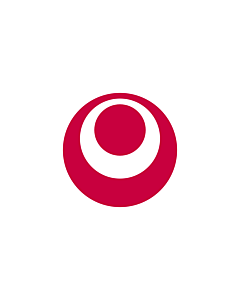 Flag: Okinawa Prefecture