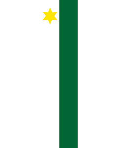 Flag: Planken