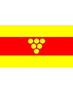 Flag: Negotino Municipality, Macedonia