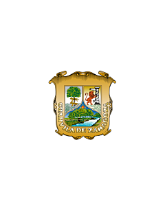 Flag: Coahuila