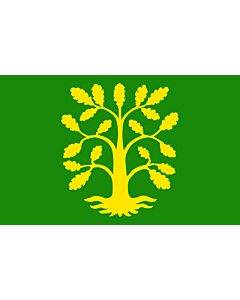 Flag: Vest-Agder