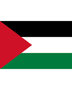 Flag: Palestine
