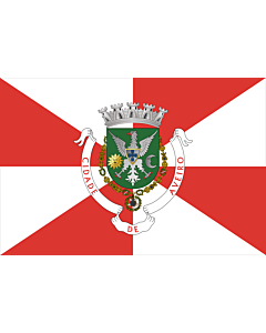 Flag: Aveiro District