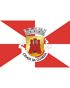 Flag: Guarda District