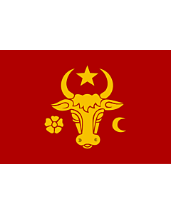 Flag: En Moldavia in the 14th-15th century
