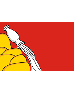 Flag: Voronezh Oblast