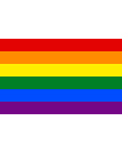 Flag: Rainbow flag. Symbol of gay pride
